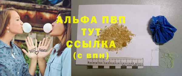 ГАЛЛЮЦИНОГЕННЫЕ ГРИБЫ Вяземский