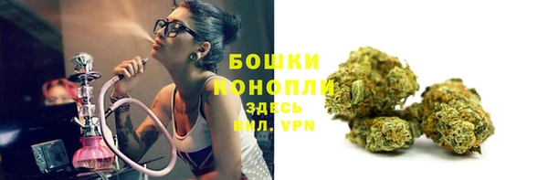 ГАЛЛЮЦИНОГЕННЫЕ ГРИБЫ Вяземский