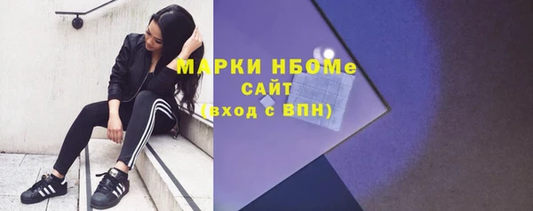 ГАЛЛЮЦИНОГЕННЫЕ ГРИБЫ Вяземский