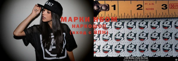 ГАЛЛЮЦИНОГЕННЫЕ ГРИБЫ Вяземский