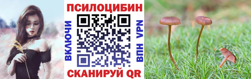 Псилоцибиновые грибы Psilocybine cubensis Славянск-на-Кубани