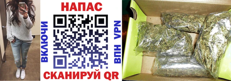 Бошки марихуана план  Славянск-на-Кубани 